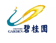 松江碧桂园地产